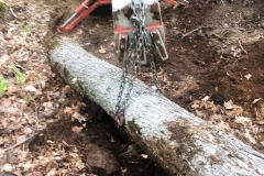 Setting a guy anchor for a power pole